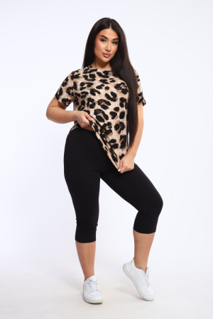 6eb1d76c-025d-47f0-81a6-ca9ab8e254be