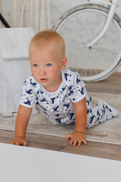 58df2819-af96-4319-bab3-38594f9b226b